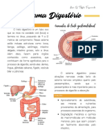 Sistema Digestório
