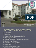 Patologia Penoescrotal. Mgo-Fer