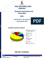 clase_clasificacion_aracnidos_JMorales_2021