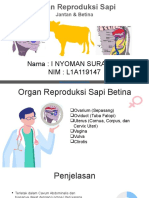 Laporan 1-I Nyoman suradika-L1A119147-D