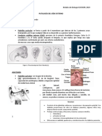 Copia de 3. Patología Del Oído Externo