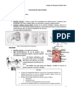 Patología Del Oído Externo