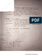 Sel Biologi - Siti Sakinah XI IPS