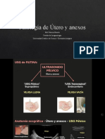 Presentacion Utero y Ovarios