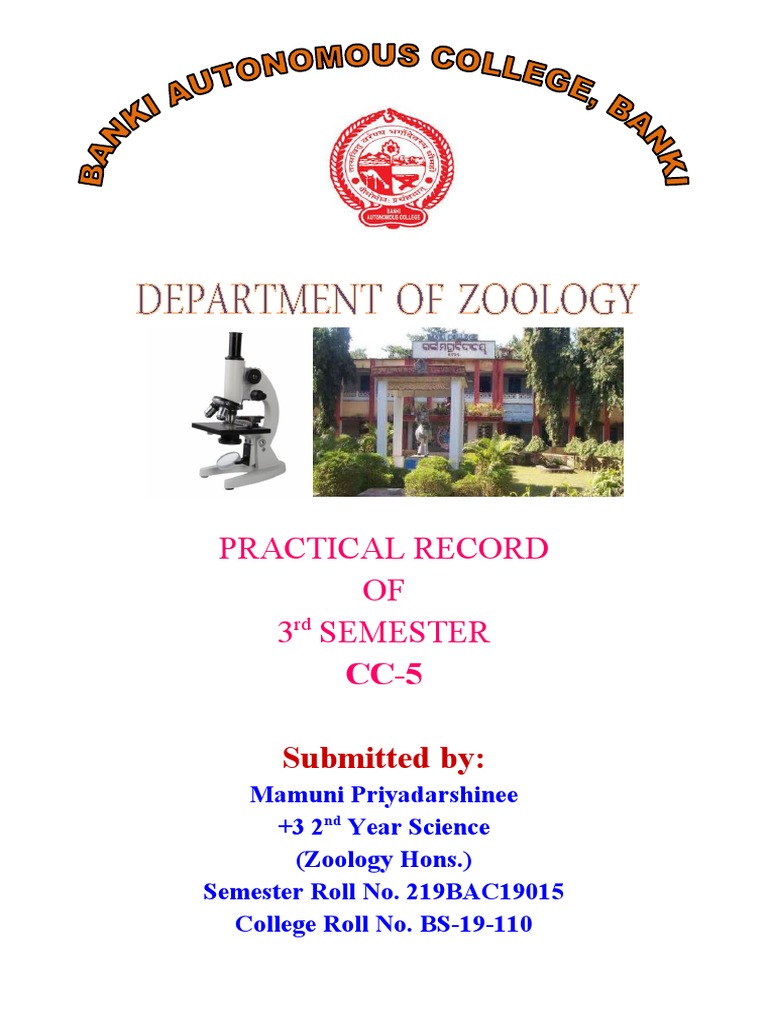Practical Record OF 3 Semester Submitted by PDF