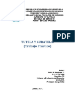 Trabajo Practico - 32.287.604 - Ortiz, Anghela - Historia, Y, Evolucion - T2.