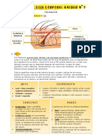 Foliculitis Acne