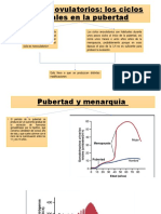 Ciclos Anovulatorios