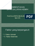 Pembentukan Batu Saluran Kemih (Prof Rifki Muslim) - 0