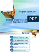 Different Project Types and Why Is It Important To Know: MP01: Projects - Concepts, Types, Cases Context and Organization