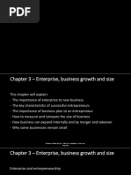 Chapter 3 - Enterprise, Business Growth and Size