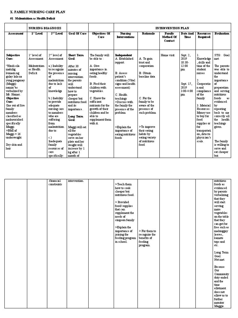 Family Nursing Care Plan for Health Issues | PDF | Malnutrition | Hygiene