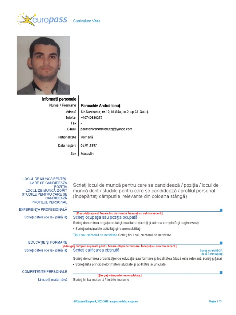 Ecv Template Ro | PDF