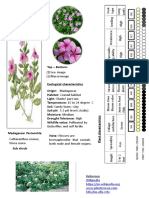 LD - 1 - Plant Cards1