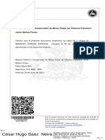 MANDATO JUDICIAL ESPECIAL_REP 2666-2021