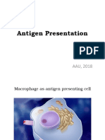 Antigen Presentation