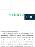 Mendel's Laws of Inheritance: Key Concepts