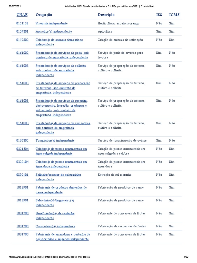 Atividades Permitidas Mei 2025 Pdf – JTCP