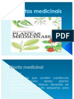 plantas medicinais