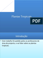 PLANTAS TROPICAIS 12