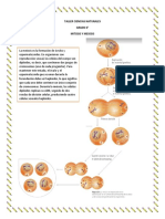 Taller Ciencias Naturales