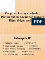 Pengaruh Cahaya Terhadap Pertumbuhan Kecambah - B3