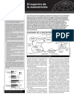 El Espectro de Malnutrición FAO