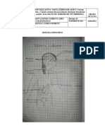 Sistema Endocrino