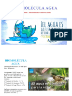 Biomolécula Agua