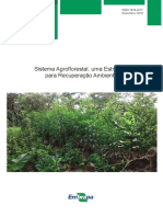 Sistema Agrofl Orestal, Uma Estratégia para Recuperação Ambiental