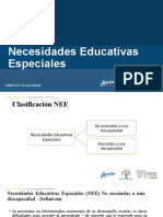 Necesidades Educativas Especiales - Zona 8-4 Con Grafico