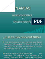 Plantas Gimnospermas-Angiospermas-Hongos
