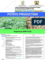 POTATO Production JICA