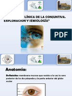 027 Anatomía Clínica de La Conjuntiva - Exploración y Semiología - LOM