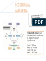 Farmacodinamia de Warfarina