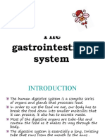 The human gastrointestinal system explained