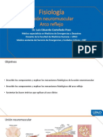 Fisiología: Unión Neuromuscular Arco Reflejo