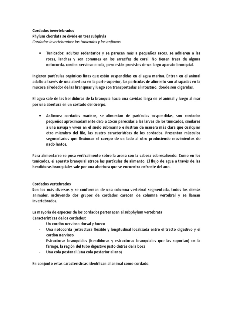 Capitulo 2: ¿Cómo se forma un arrecife? - Issuu, image size:768x1024