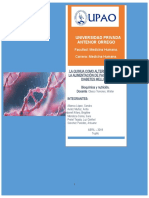 Monografía - La Quinua Como Alternativa para Alimentación de Pancientes Con Diabetes