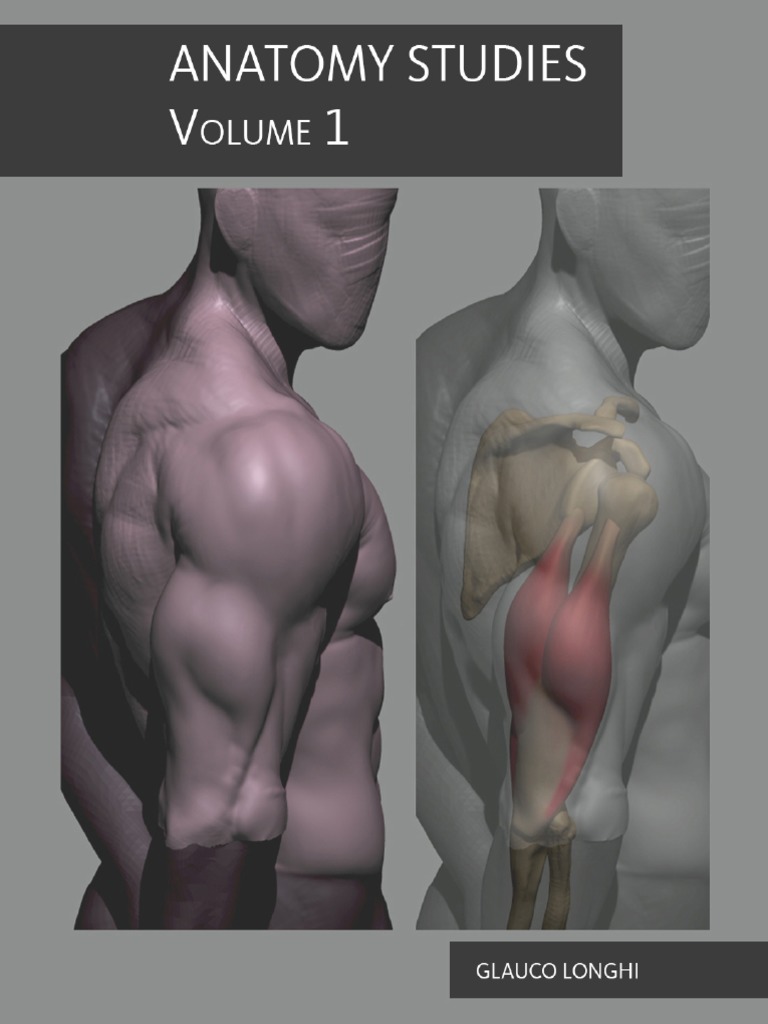 解剖学 1 Anatomy 1 Anatomy Chapter 1 Body parts Diagram | Quizlet