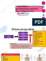 Anatomi-Fisiologi Sistem Muskuloskeletal