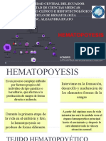 Hematopoyesis: proceso de formación de células sanguíneas