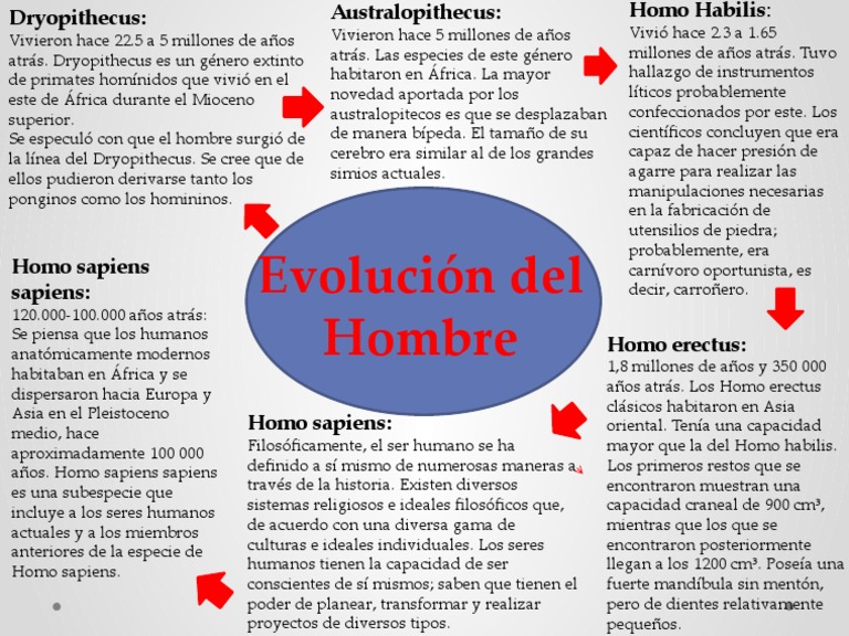 Evolucion Del Hombre - Mapa Conceptual | PDF | Homo | Épocas geológicas