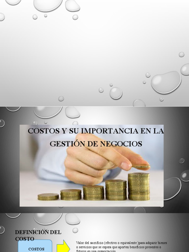 Importancia de los Costos en Negocios | PDF | Presupuesto | Economias