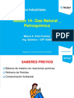 Sesion 12 - 4 - Gas Natural - Petroquímica - 2018