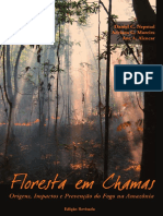 Livro Floresta em Chamas