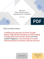 HBC 410 Agrobacterium Mediated Transformation