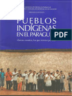 Pueblos Indigenas Melia