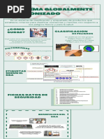 Catálogo SIAAT: Clasificación de Accidentes | PDF | Minería