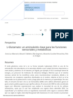 L-Glutamato Un Aminoácido Clave para Las Funciones Sensoriales y Metabólicas